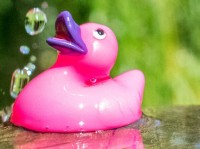 Kunststoff für Spielerei, Glas für die Duschkabine Plasteente